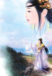 魔法少女同人之不同的方向